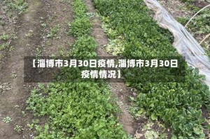 【淄博市3月30日疫情,淄博市3月30日疫情情况】