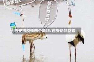 西安市疫情四个动物/西安动物防疫