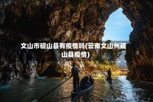 文山市砚山县有疫情吗(云南文山州砚山县疫情)