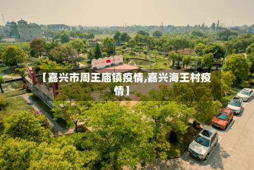 【嘉兴市周王庙镇疫情,嘉兴海王村疫情】-第1张图片