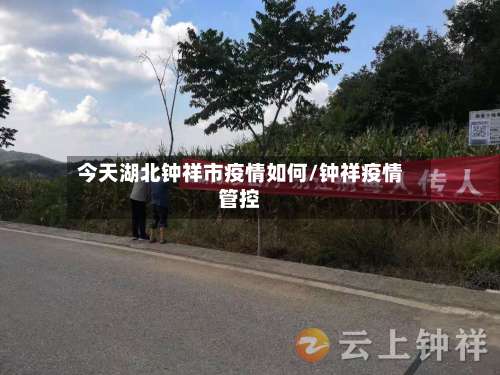 今天湖北钟祥市疫情如何/钟祥疫情管控-第3张图片