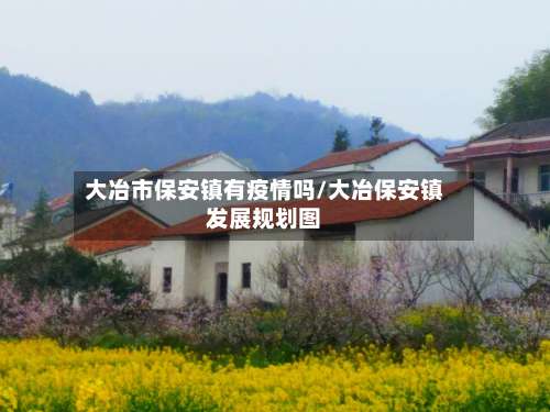 大冶市保安镇有疫情吗/大冶保安镇发展规划图-第3张图片