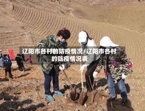 辽阳市各村的防疫情况/辽阳市各村的防疫情况表-第1张图片