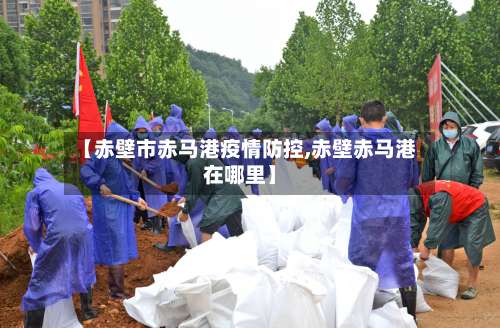 【赤壁市赤马港疫情防控,赤壁赤马港在哪里】-第1张图片