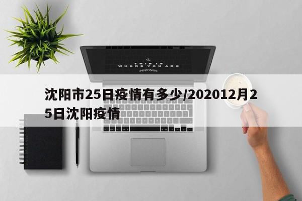 沈阳市25日疫情有多少/202012月25日沈阳疫情